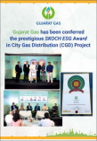 'ESG Award' by Skoch